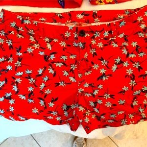 Womens shorts size 12.